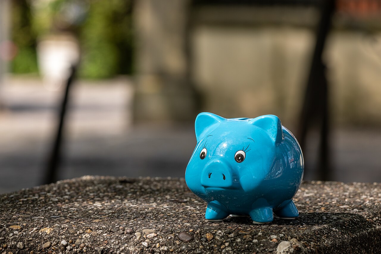 Münster, Domplatz, Sparschwein 2022 0863